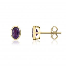 9ct Amethyst Rubover Stud Earrings