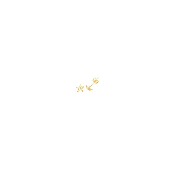 Lowry Gold 9ct CZ Starfish Earrings