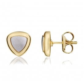 9ct Fancy 2 Colour Stud Earrings