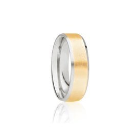 9ct White Gold & Yellow Gold 6mm Fancy Wedding Ring