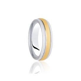 9ct White Gold & Yellow Gold 6mm Fancy Wedding Ring