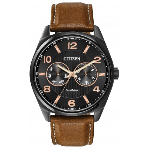 Citizen Men's Eco-Drive Watch AO9025-05E