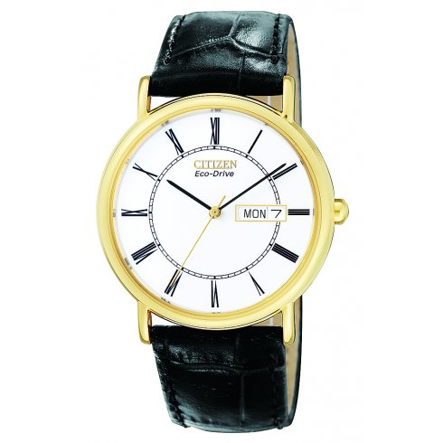 Citizen Men's Eco-Drive Watch BM8242-16A