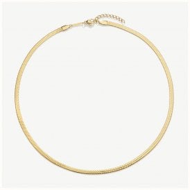 D.Louise 14ct Gold Plated PVD Essentials Snake Chain GN-004