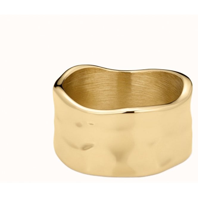 D Louise D.Louise 14ct Gold Plated PVD Textured Band Ring GR-040-008