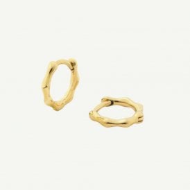 D Louise Bamboo Gold  Huggies Earrings