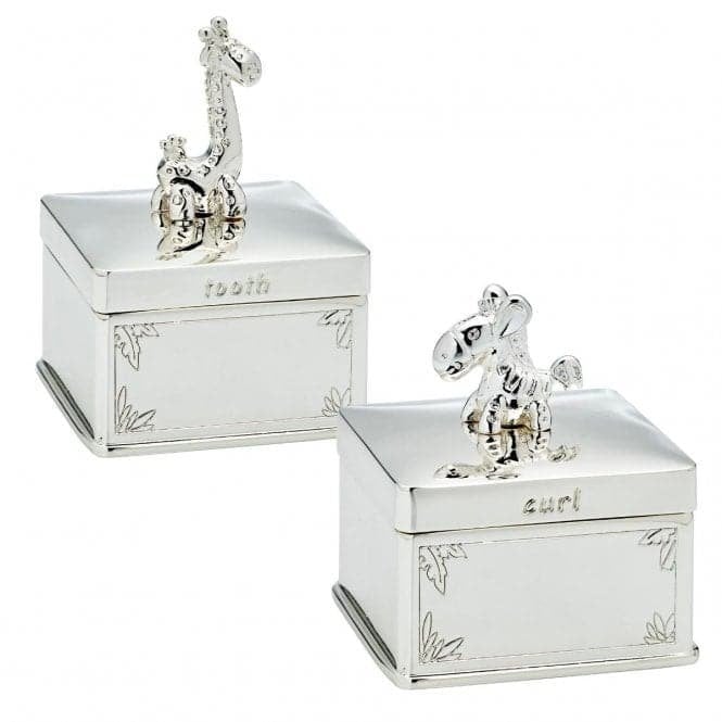 D for Diamond Girafffe & Zebra Tooth & Curl