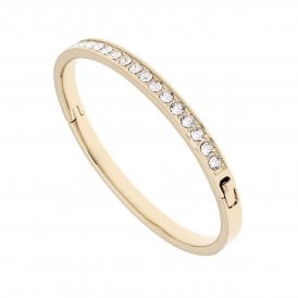 Ted Baker Jewellery Clemara Hinge Crystal Bangle TBJ1567-02-02